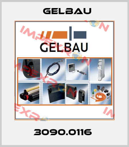3090.0116  Gelbau