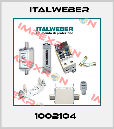 1002104  Italweber