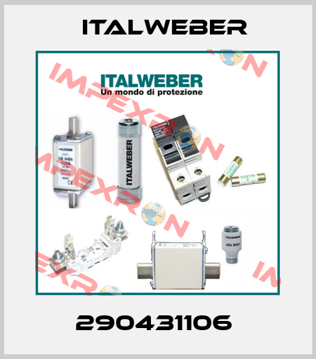 290431106  Italweber