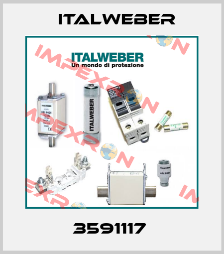 3591117  Italweber