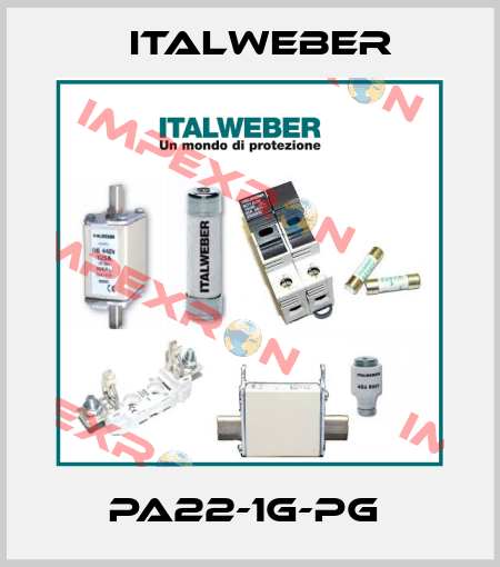 PA22-1G-PG  Italweber
