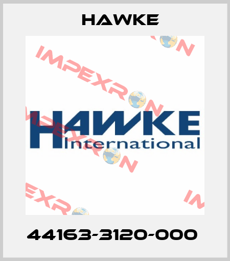 44163-3120-000  Hawke