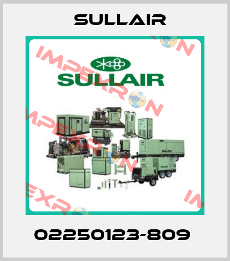 02250123-809  Sullair
