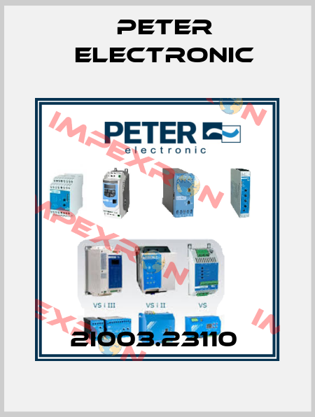2I003.23110  Peter Electronic