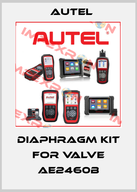 diaphragm kit for valve AE2460B AUTEL