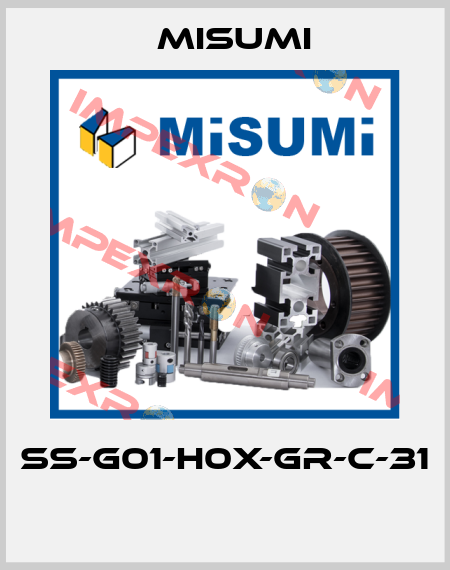 SS-G01-H0X-GR-C-31  Misumi