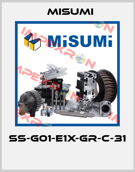 SS-G01-E1X-GR-C-31  Misumi