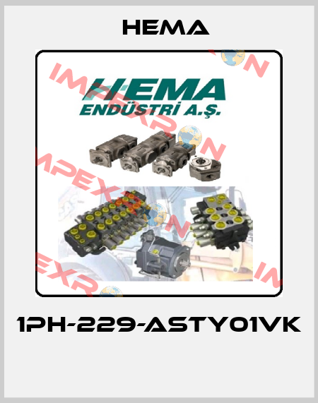 1PH-229-ASTY01VK  Hema