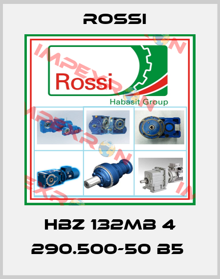 HBZ 132MB 4 290.500-50 B5  Rossi