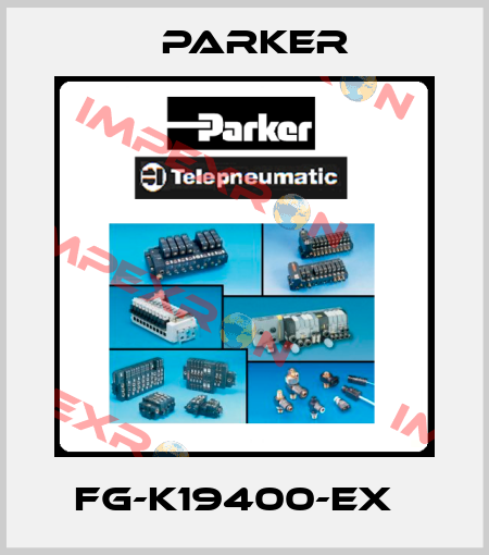 FG-K19400-EX   Parker