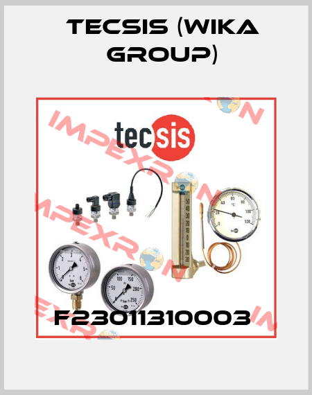 F23011310003  Tecsis (WIKA Group)