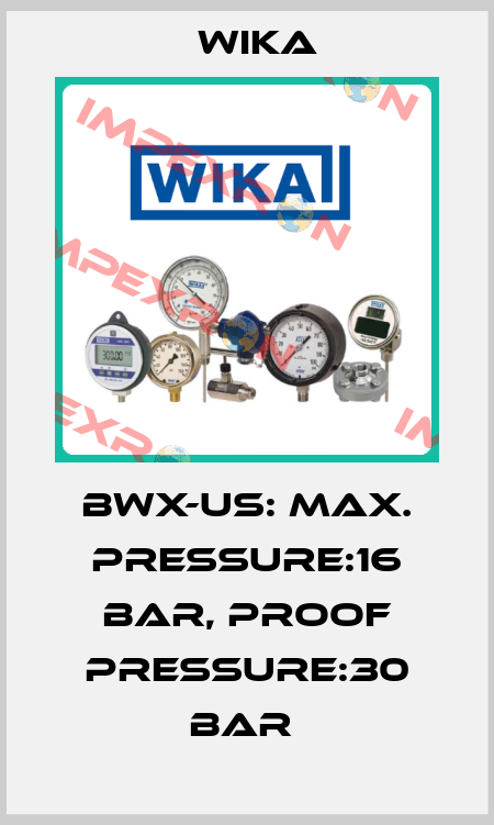BWX-US: MAX. PRESSURE:16 BAR, PROOF PRESSURE:30 BAR  Wika