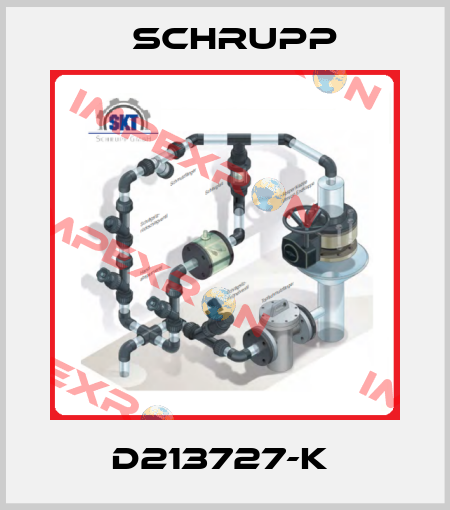 D213727-k  Schrupp