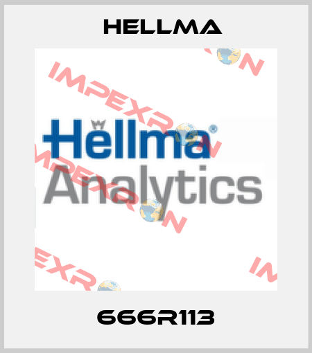 666R113 Hellma