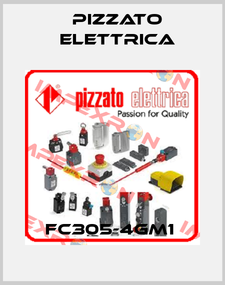 FC305-4GM1  Pizzato Elettrica
