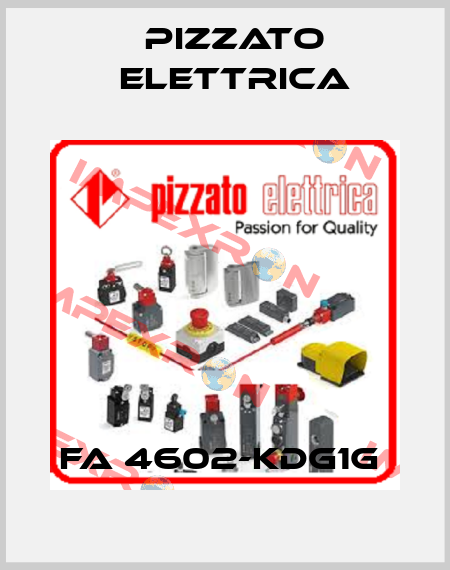 FA 4602-KDG1G  Pizzato Elettrica