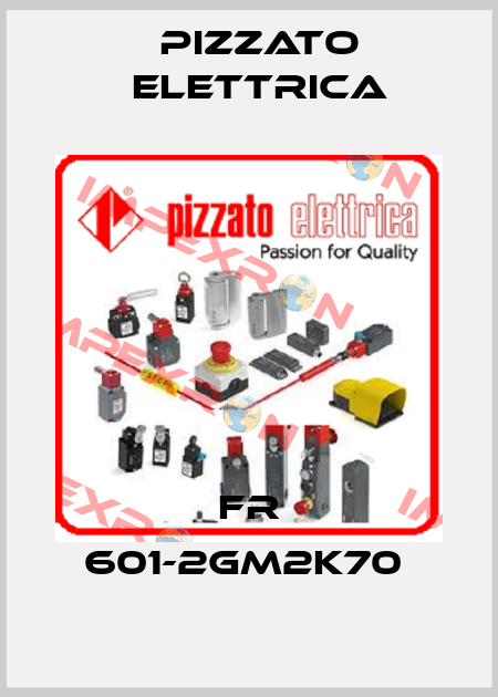 FR 601-2GM2K70  Pizzato Elettrica