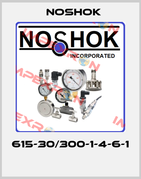 615-30/300-1-4-6-1  Noshok