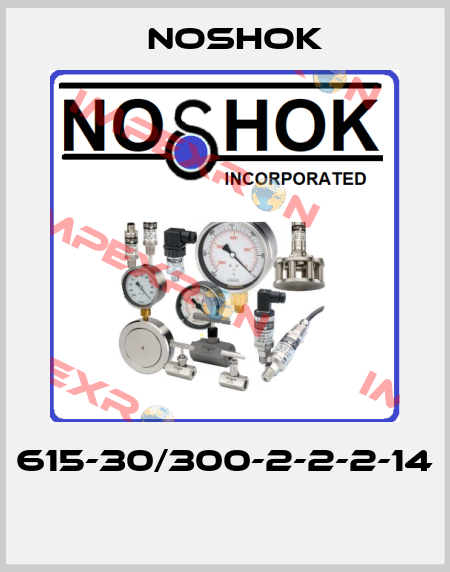 615-30/300-2-2-2-14  Noshok