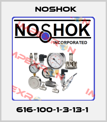 616-100-1-3-13-1  Noshok