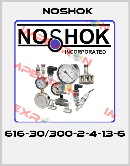 616-30/300-2-4-13-6  Noshok