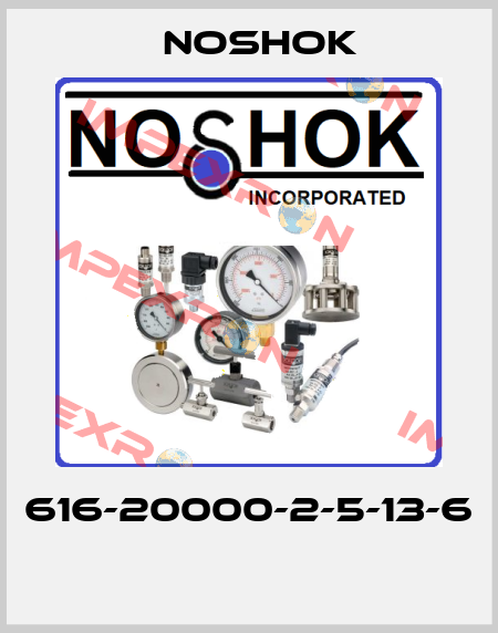 616-20000-2-5-13-6  Noshok