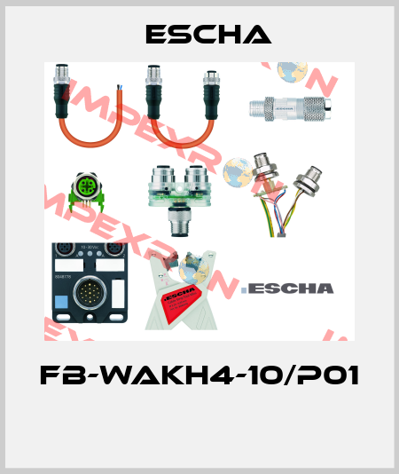FB-WAKH4-10/P01  Escha