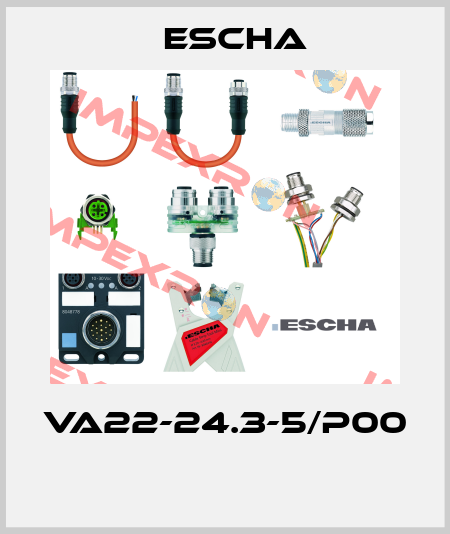 VA22-24.3-5/P00  Escha