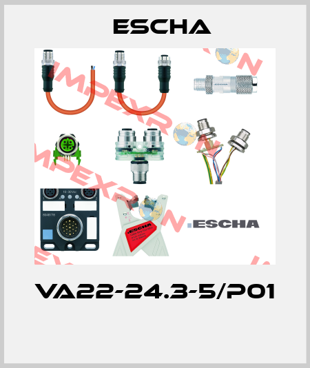 VA22-24.3-5/P01  Escha