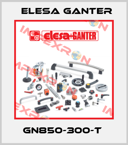 GN850-300-T  Elesa Ganter