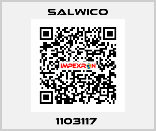 1103117  Salwico