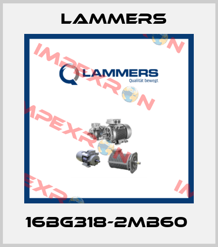 16BG318-2MB60  Lammers