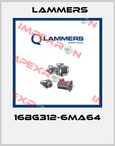 16BG312-6MA64  Lammers