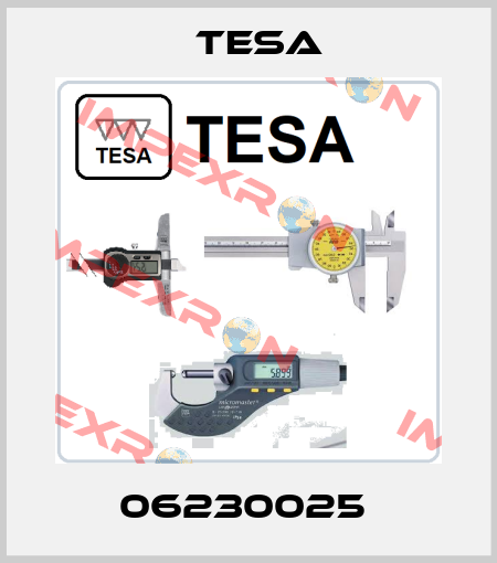 06230025  Tesa