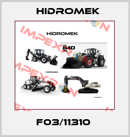 F03/11310  Hidromek