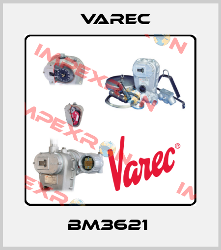  BM3621  Varec