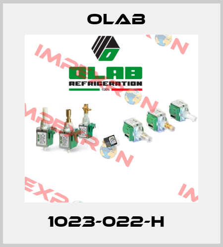  1023-022-H   Olab