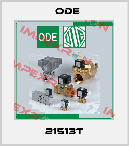 21513T Ode