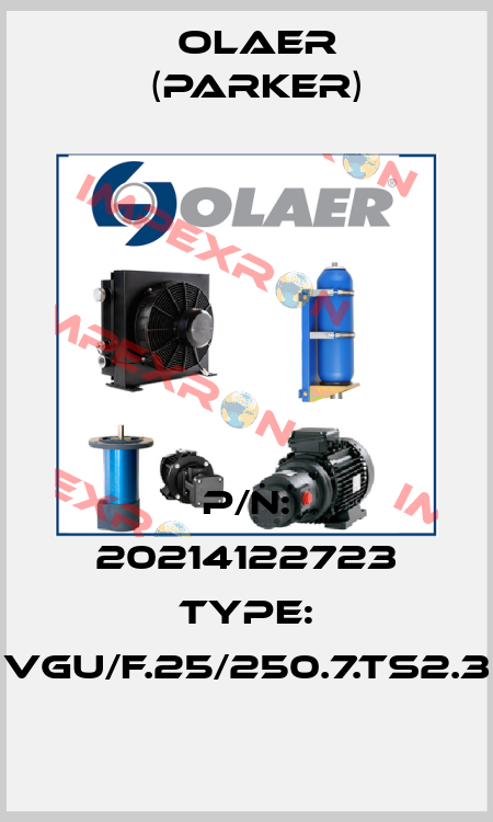 P/N: 20214122723 Type: VGU/F.25/250.7.TS2.3 Olaer (Parker)