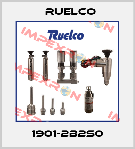 1901-2B2S0 Ruelco