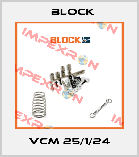 VCM 25/1/24 Block