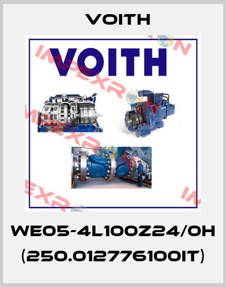 WE05-4L100Z24/0H (250.012776100IT) Voith