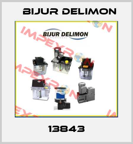 13843 Bijur Delimon