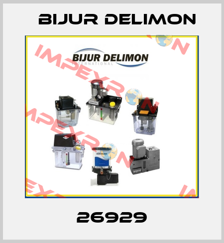 26929 Bijur Delimon