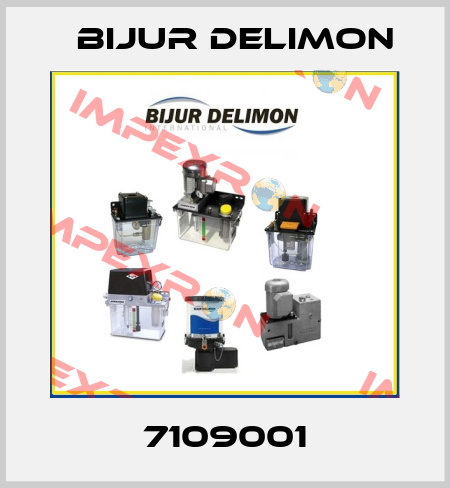 7109001 Bijur Delimon
