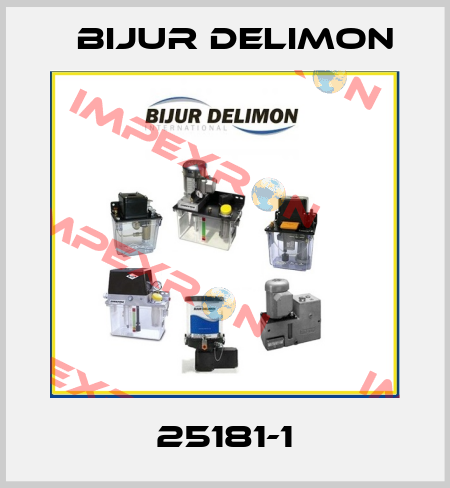 25181-1 Bijur Delimon