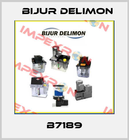 B7189 Bijur Delimon