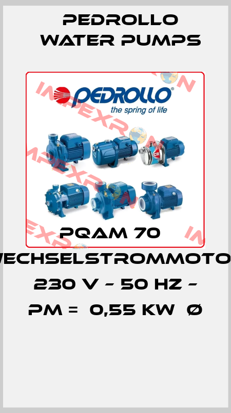 PQAM 70   WECHSELSTROMMOTOR  230 V – 50 HZ – PM =  0,55 KW  Ø  Pedrollo Water Pumps