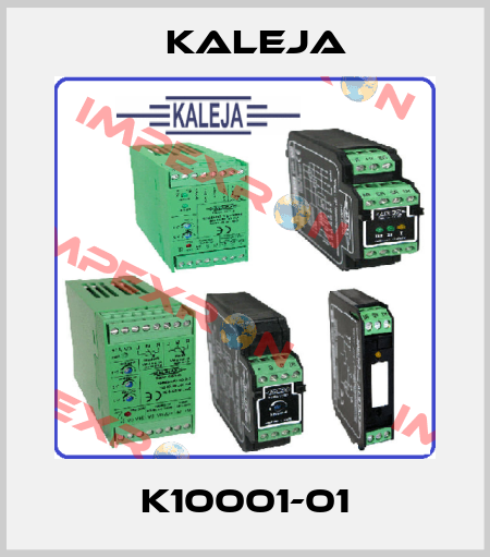 K10001-01 KALEJA