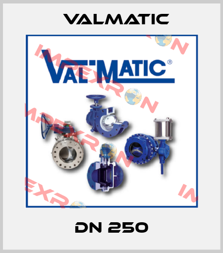 DN 250 Valmatic